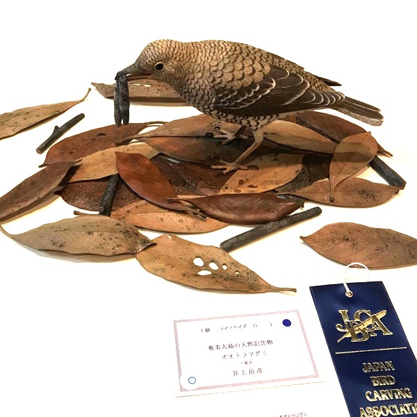 アメリカチョウゲンボウ 木彫りの野鳥 バードカービング 野鳥彫刻-