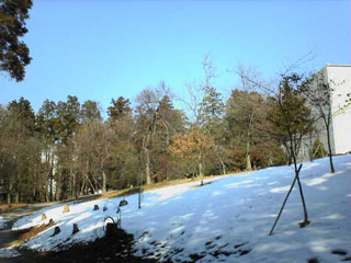 村上緑地公園の積雪