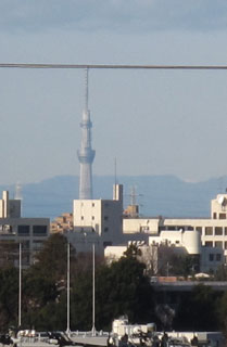 八千代市から見る東京スカイツリー