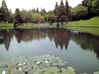 萱田近隣公園