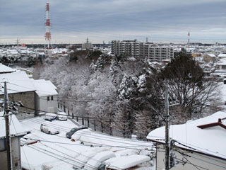 2014-02-09大雪