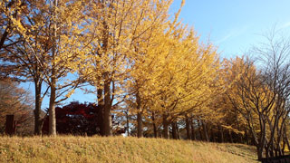 村上緑地公園