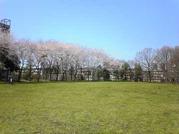 murakami-park