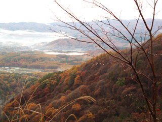 紅葉の蓼科