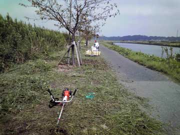 水神宮-揚水機場間草刈り