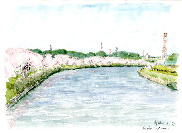 新川千本桜