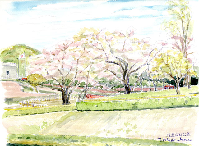 佐倉城址公園・桜