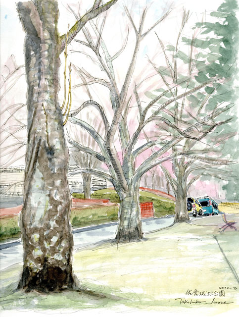 佐倉城址公園・桜春を待つ