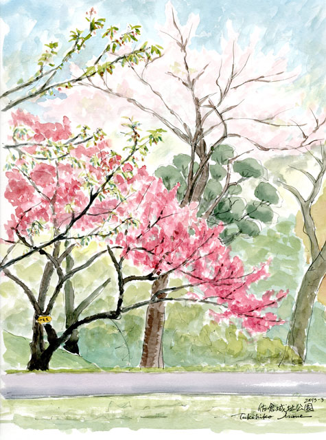 佐倉城址公園・花桃と桜