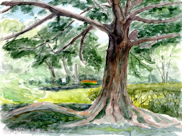 2014watercolor473c.jpg