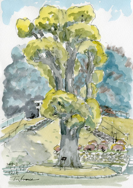 2015watercolor504c.jpg