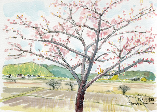 2015watercolor510c.jpg