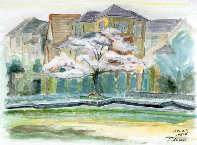 2015watercolor521c.jpg