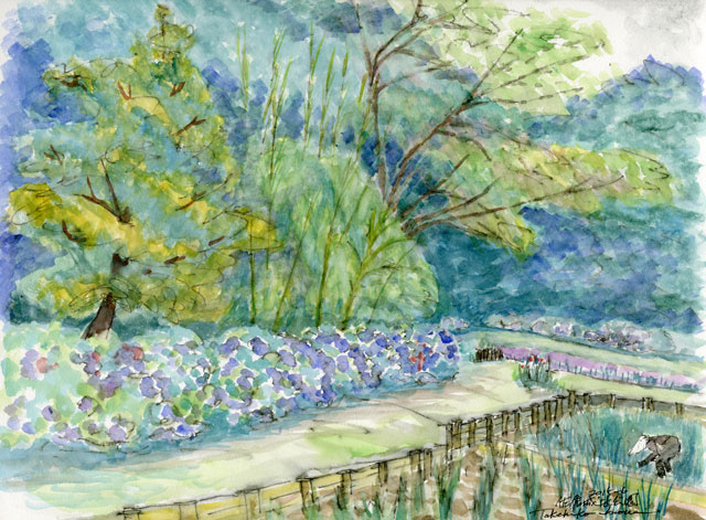 2015watercolor530c.jpg