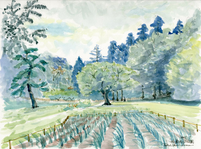 2015watercolor534c.jpg