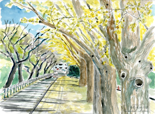 2015watercolor558c.jpg