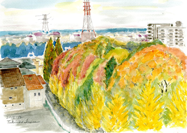 2015watercolor562c.jpg