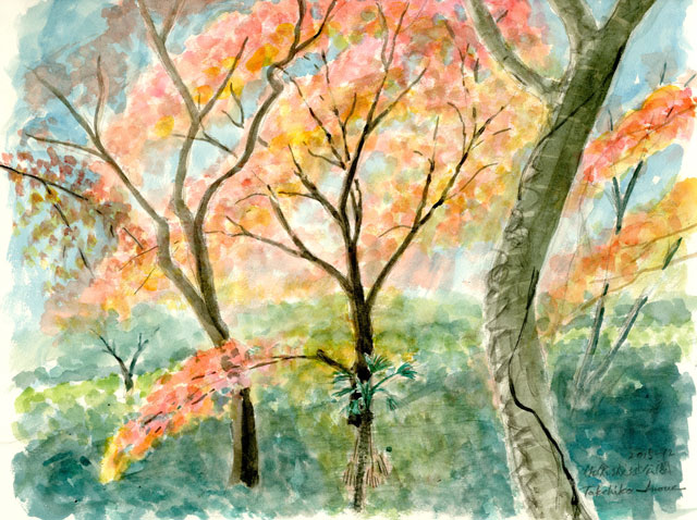 2015watercolor563c.jpg