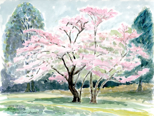 2016watercolor577c.jpg