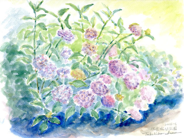 2016watercolor595c.jpg