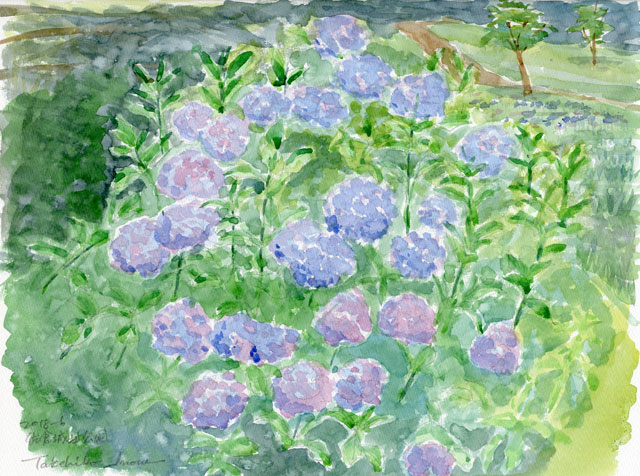 2018watercolor695c.jpg