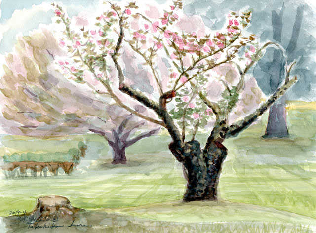 2019watercolor731c.jpg