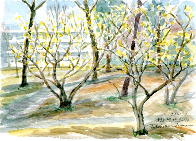 2021watercolor804c.jpg