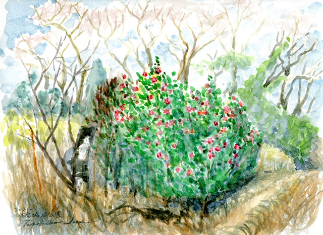 2021watercolor805c.jpg