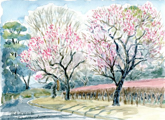 2021watercolor806c.jpg