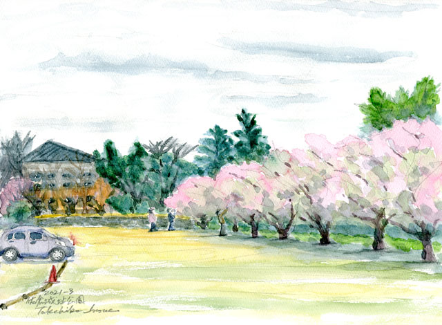 2021watercolor810c.jpg