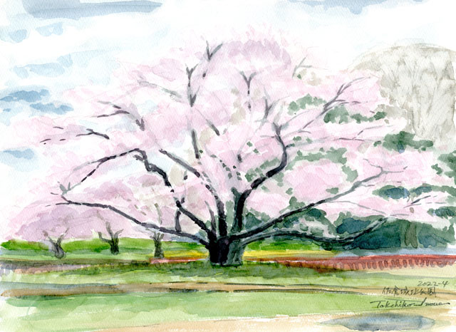 2022watercolor847c.jpg