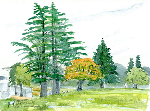 2022watercolor858c.jpg