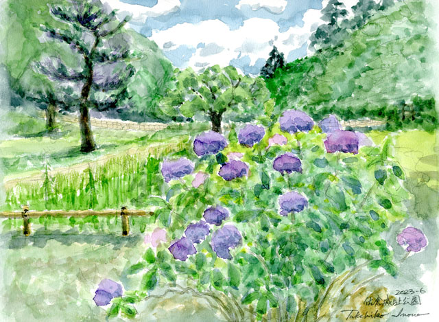 2023watercolor886c.jpg