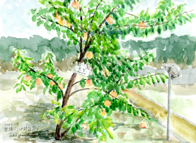 2023watercolor888c.jpg