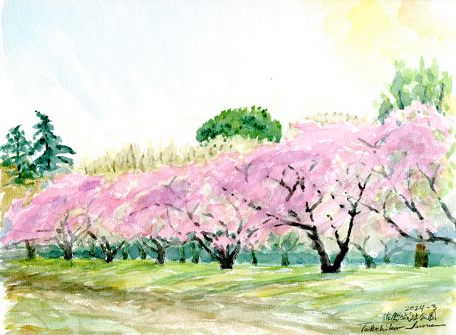 2024watercolor909c.jpg