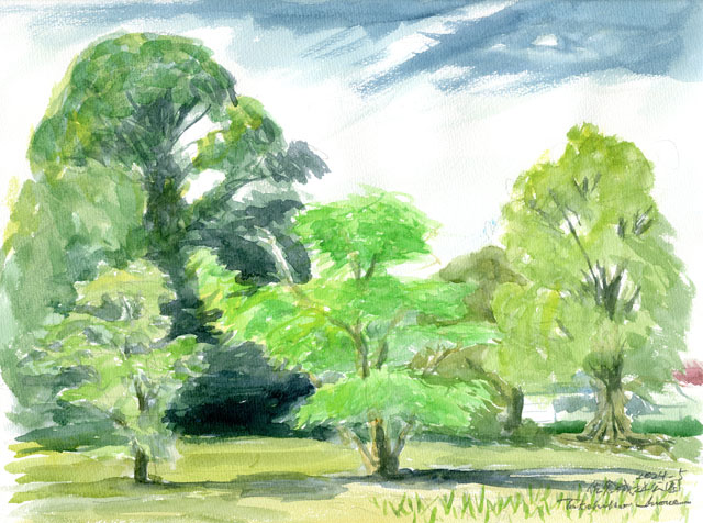 2024watercolor914c.jpg