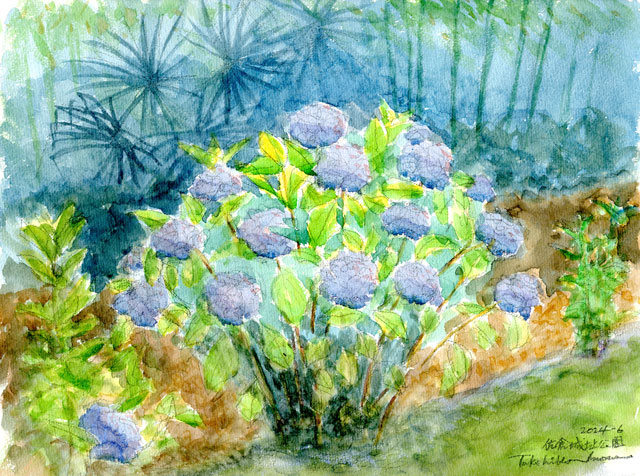 2024watercolor916c.jpg