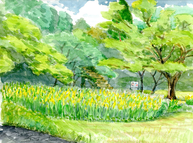 2025watercolor944c.jpg