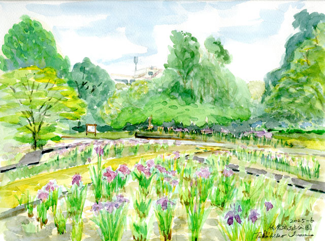 2025watercolor946c.jpg