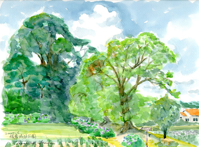 2025watercolor947c.jpg