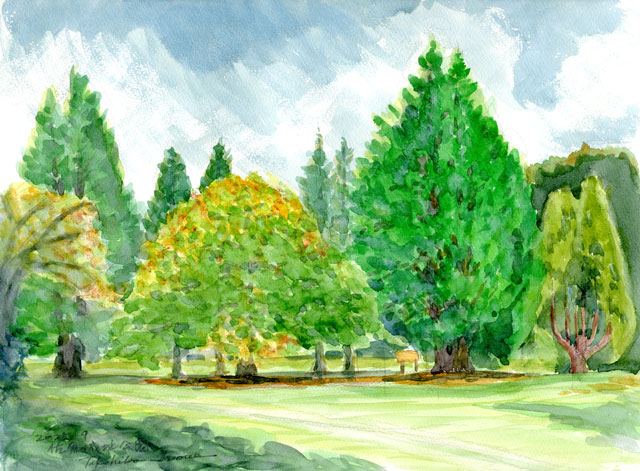 2025watercolor954c.jpg