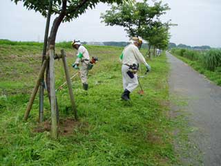 7-12定例除草14