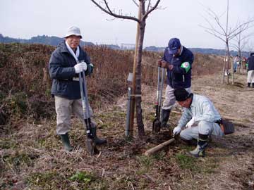 定例鳥居型支柱設置3