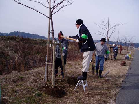 定例鳥居型支柱設置4