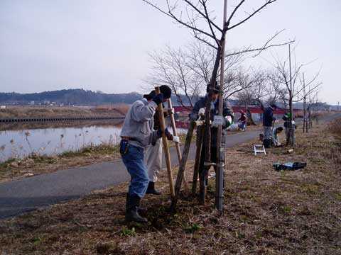 定例鳥居型支柱設置8