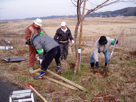 定例鳥居型支柱設置2-3