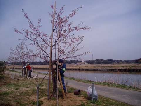 臨時鳥居型支柱3-23-23