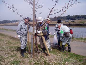 臨時鳥居型支柱3-23-1