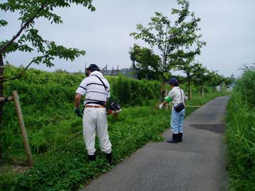 除草