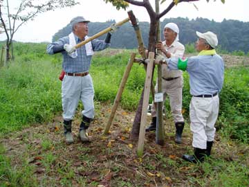 支え杭打ち